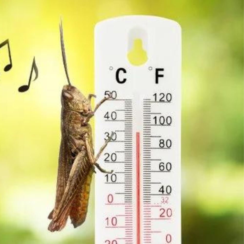 Top 10 Facts That Will Blow Your Mind