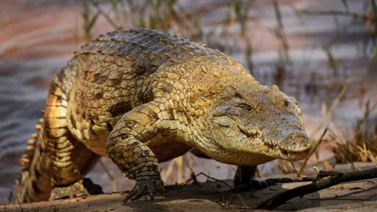 Top 10 Facts That Will Blow Your Mind