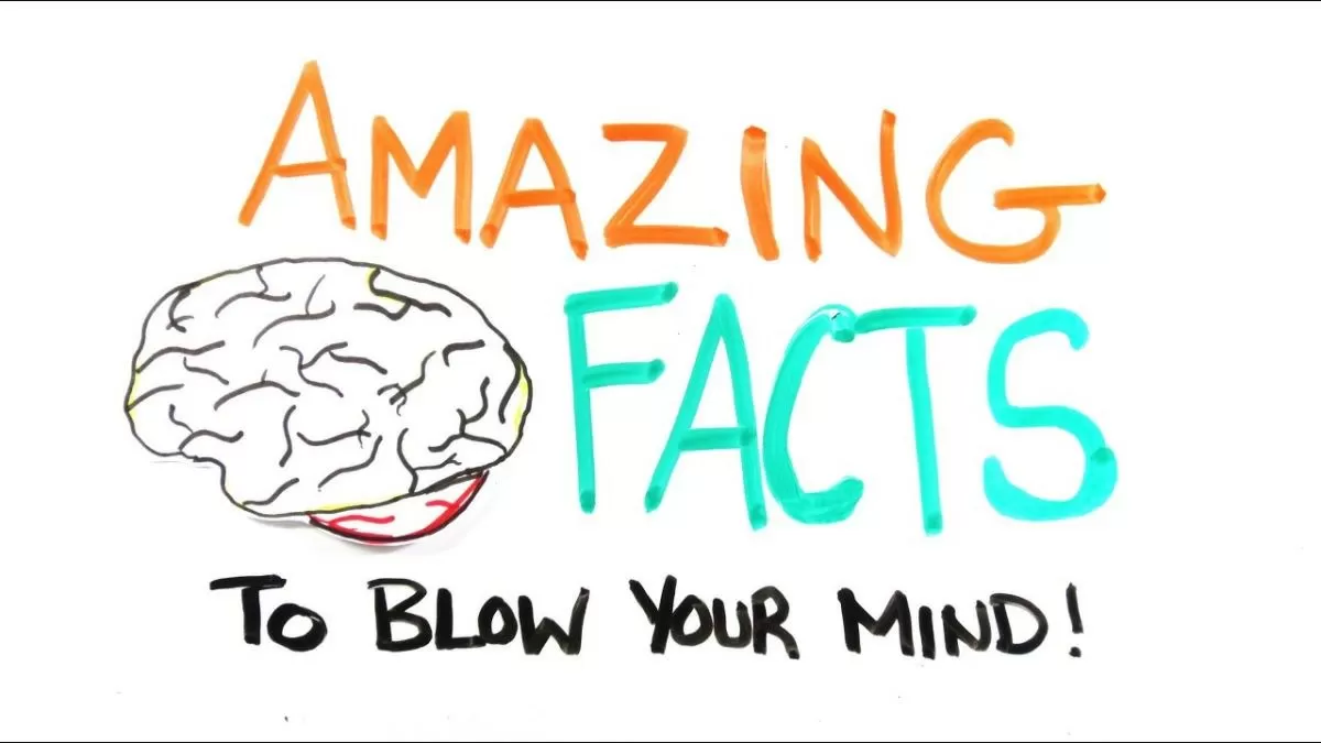 Top 10 Facts That Will Blow Your Mind