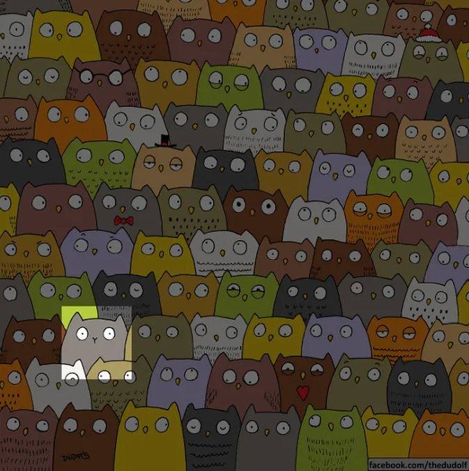 picture puzzle with answers