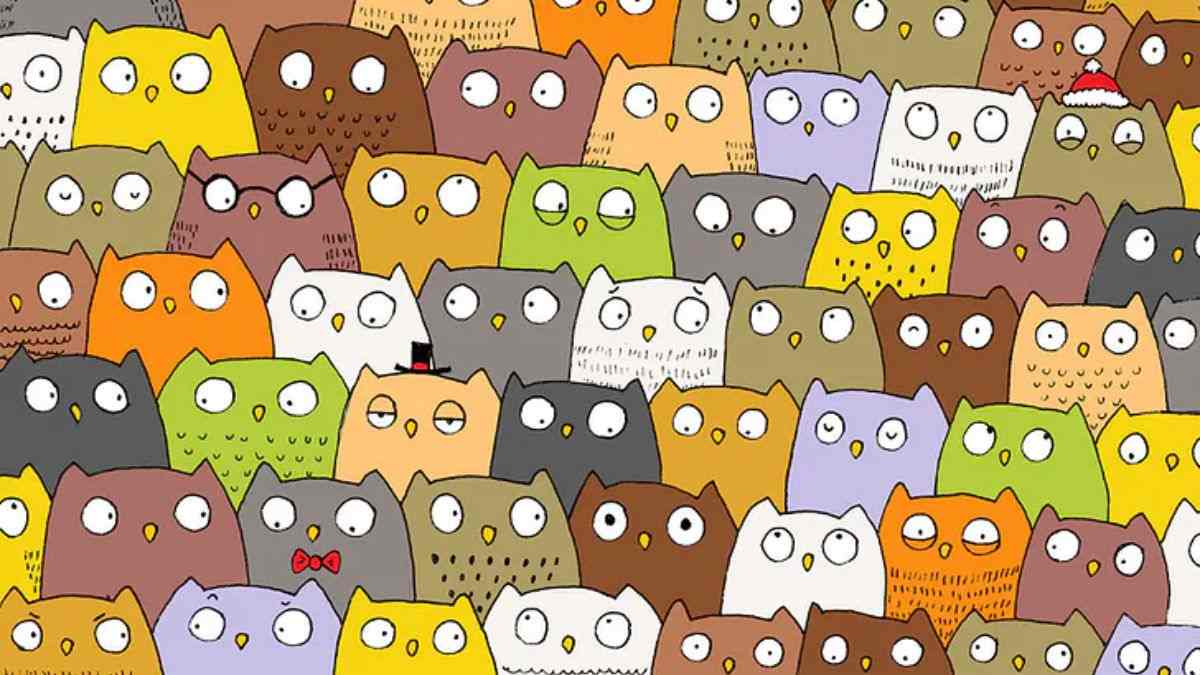 Only People With High IQ Can Spot A Cat Among Owls In 11 Seconds!