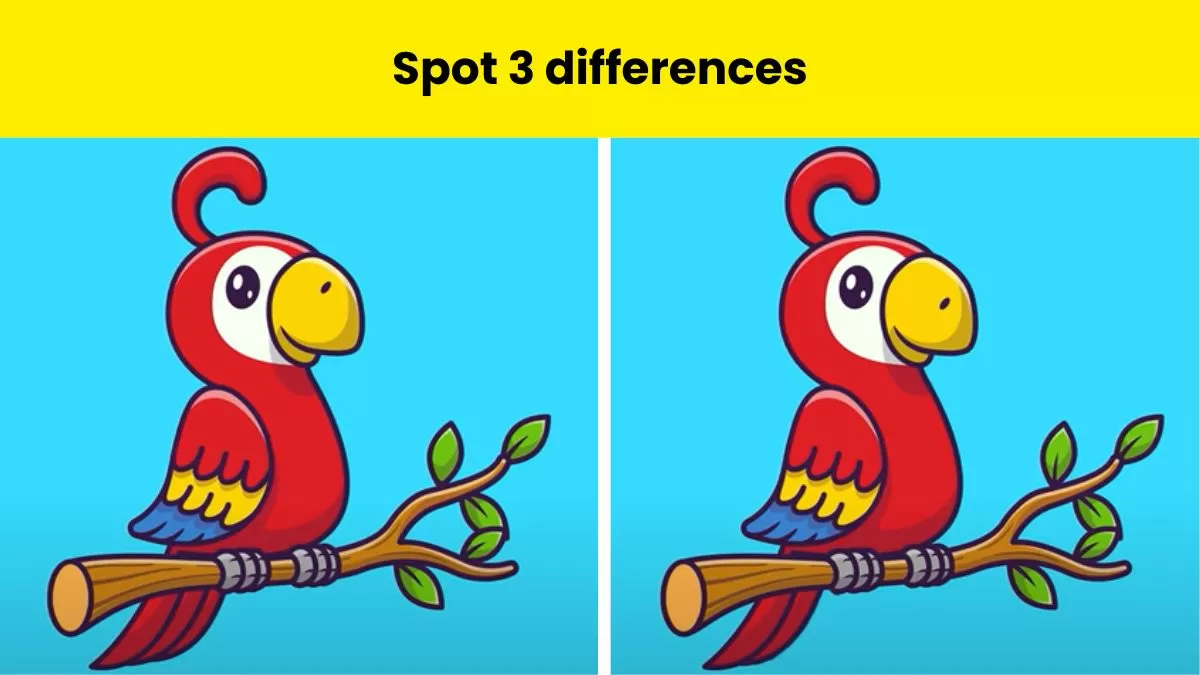 Can you spot 3 differences in 8 seconds?                                   