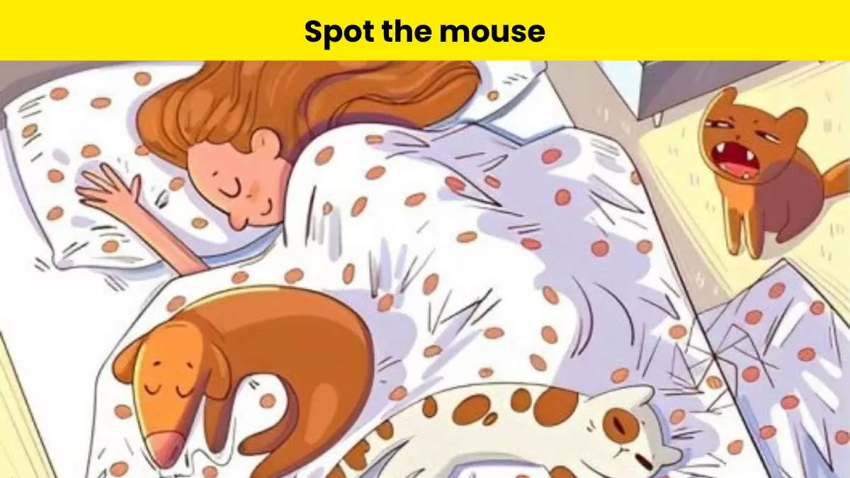 Spot the mouse in 5 seconds