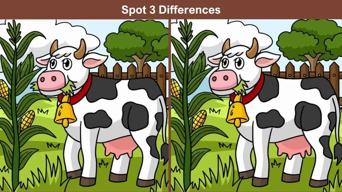 Spot 3 differences cow in farm pictures