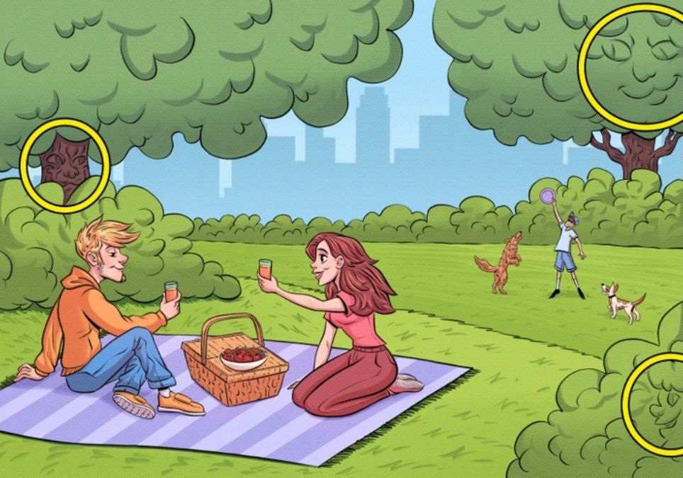 optical illusions find hidden faces with answers