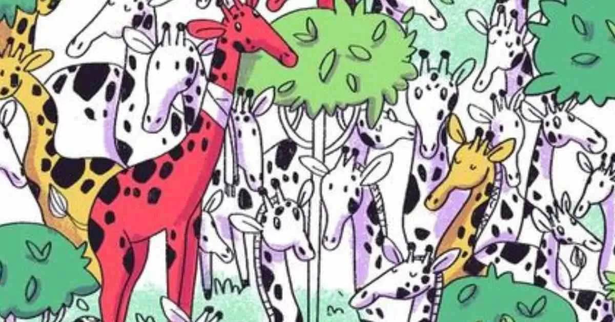Find the Hidden Zebra