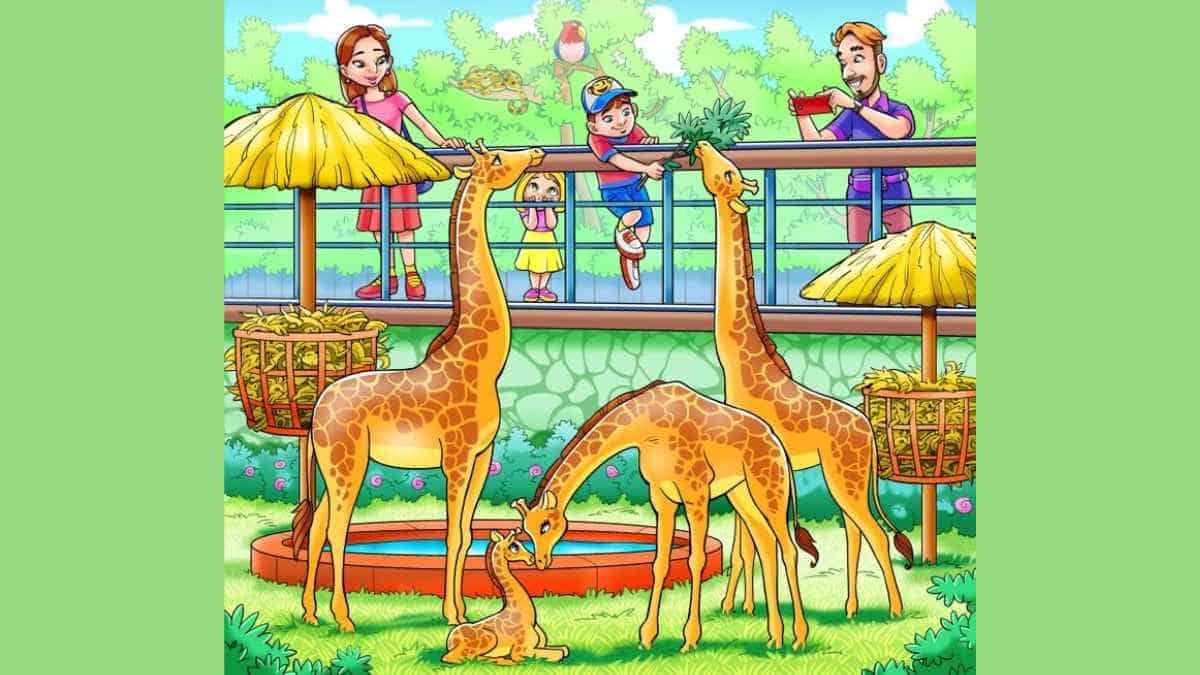 Optical Illusion: Find the monkey in the zoo in 6 seconds!