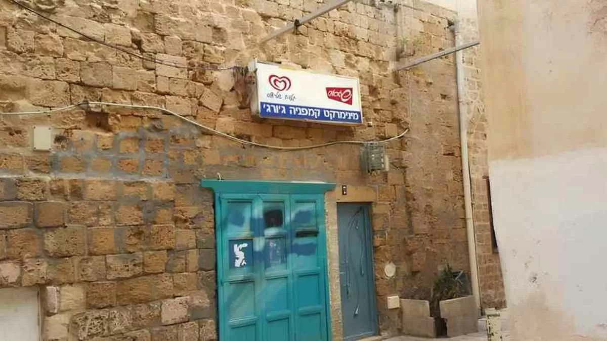 Find the dog in street