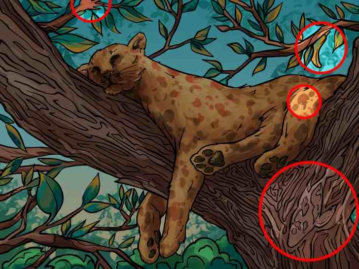 all the hidden objects are here