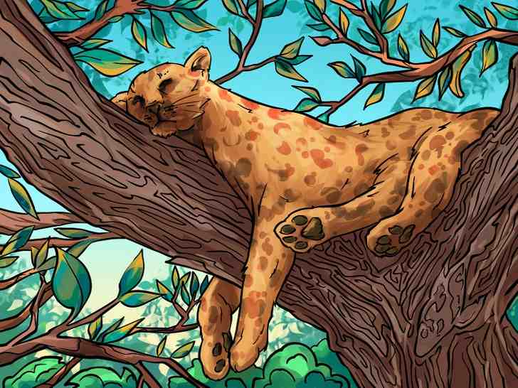 where are the mushroom, fish, hand and banana