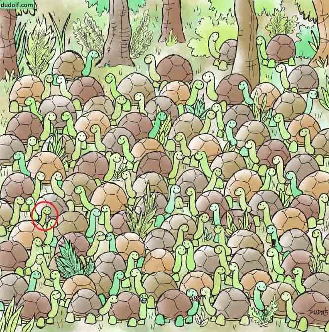 hidden animals optical illusions with answers