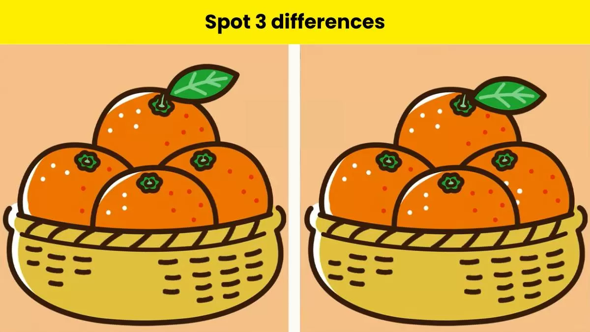 Spot 3 differences in 11 seconds