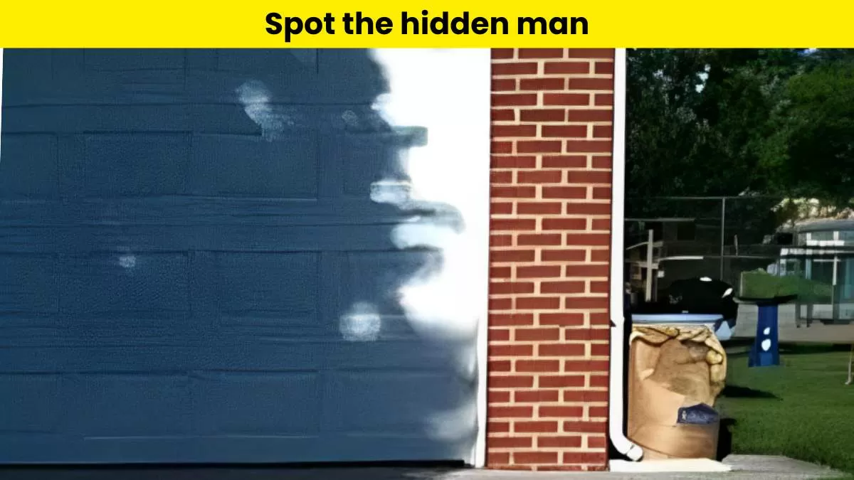 Can you spot the hidden man?