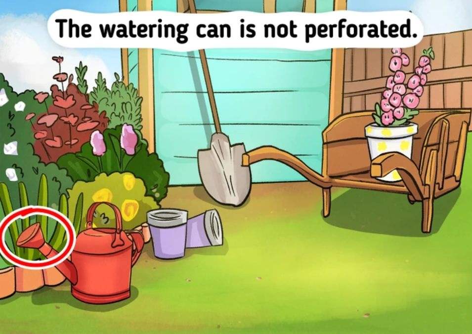 picture puzzles to test iq