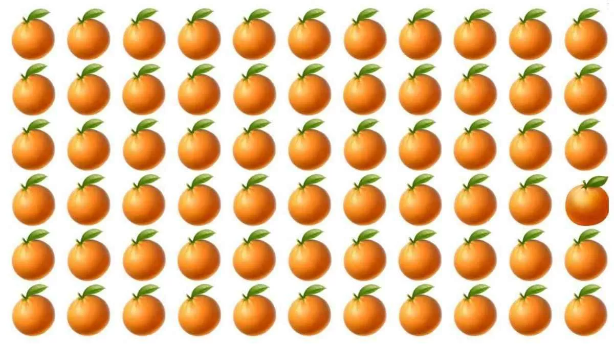 Find the different orange
