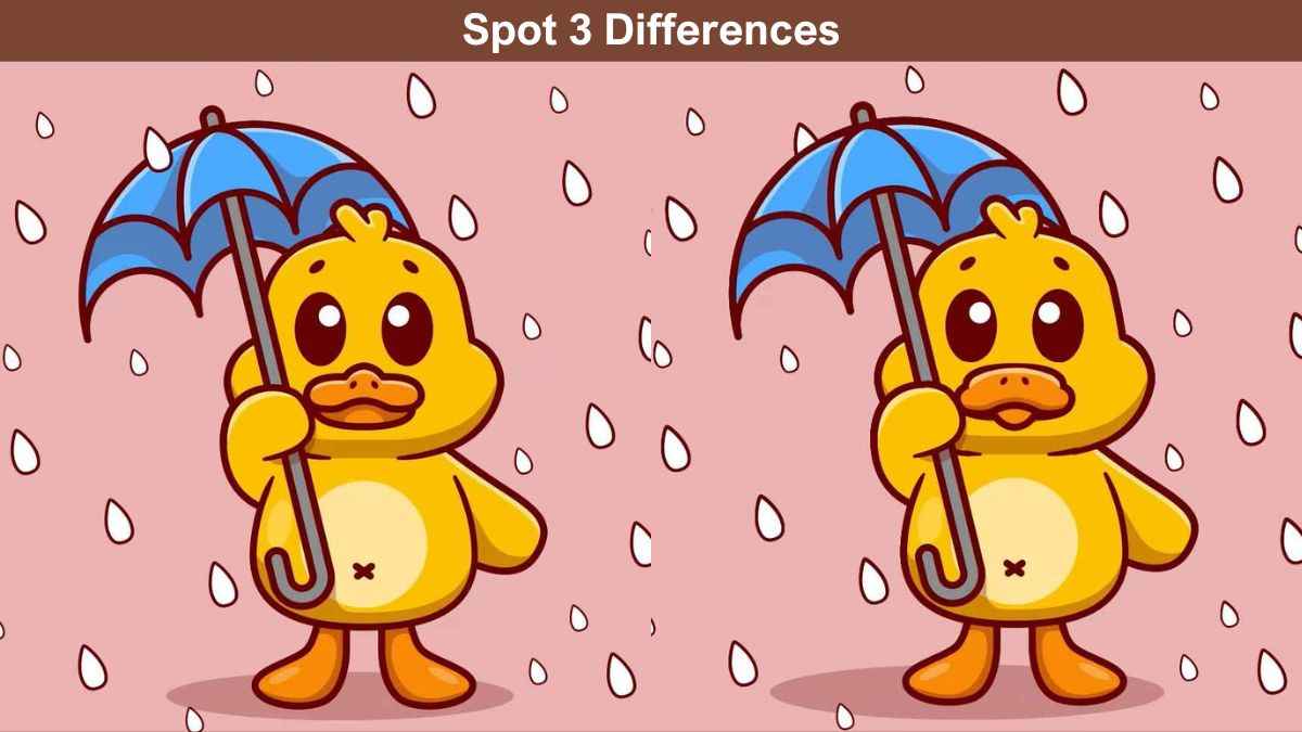 Spot 3 differences between the duckling and umbrella pictures in 15 seconds!