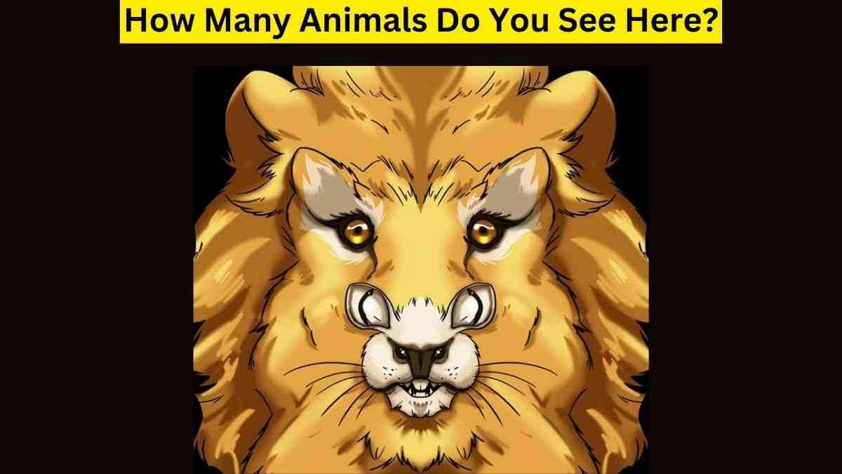 How Fast You Can Find Lion, Cat & Mouse Hidden In This Optical Illusion ...