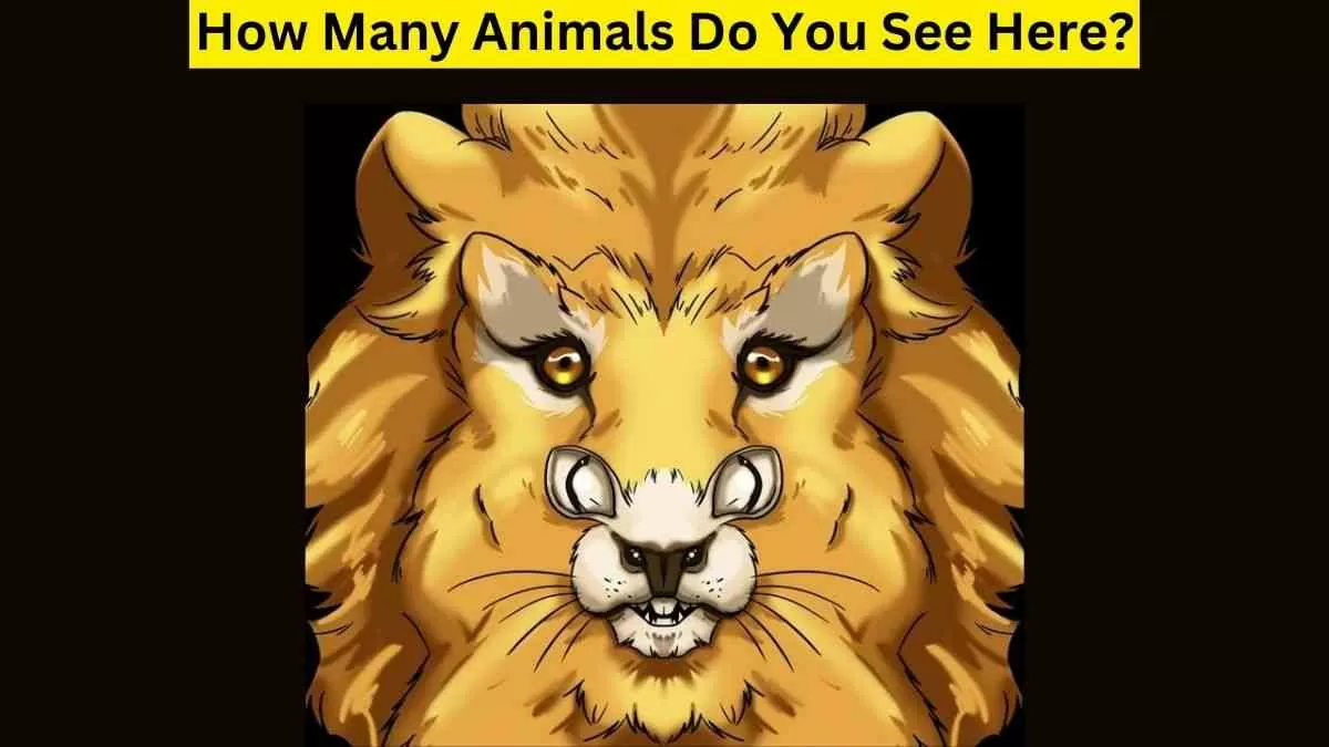 Test Your Vision With The Optical Illusion!