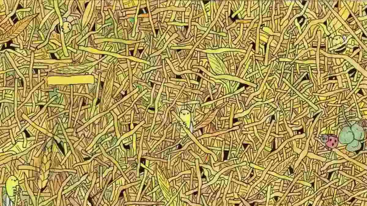 Can You Spot A Needle In Haystack In 10 Seconds? Only 1% Sharpest Pair Of  Eyes Pass This Test!