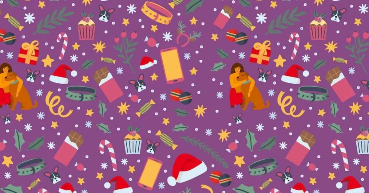 Find the Hidden Puppy Wearing a Santa Claus Hat