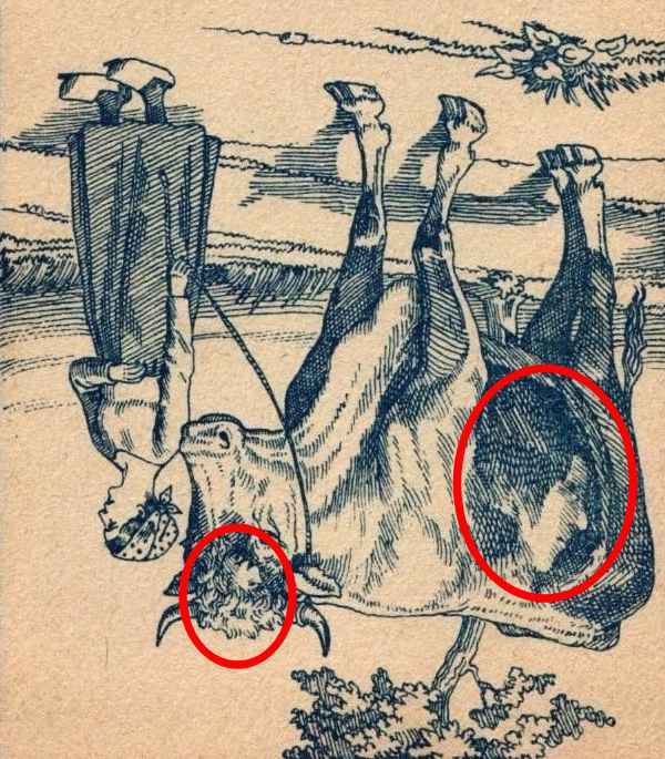 Two Hidden Man People with 20/20 eye power can find the two hidden sons of the lady in ...