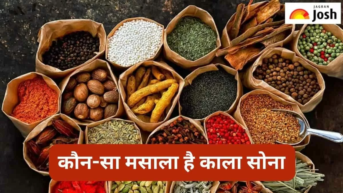 मसालों में काला सोना