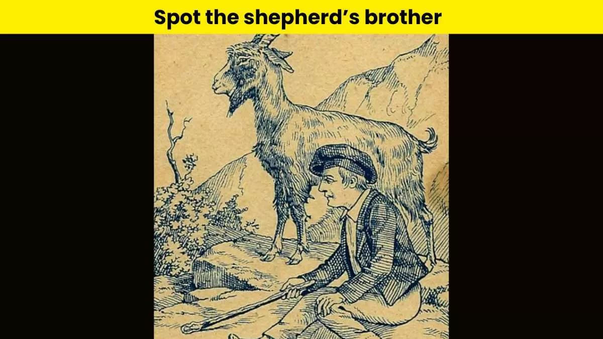 Brain Teaser: Can you spot the shepherd's brother?                         