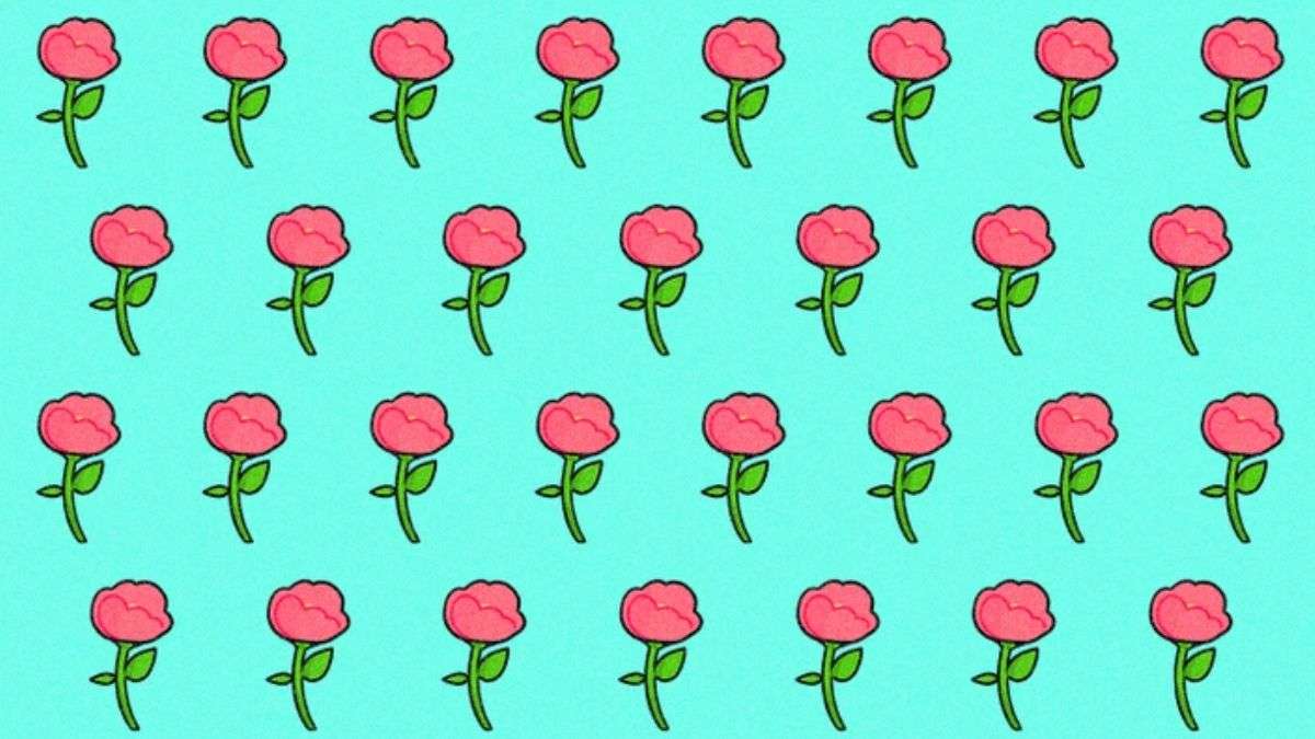 Brain Teaser To Test Your IQ: Can You Spot the ODD Rose Hidden In the Picture within 9 secs?