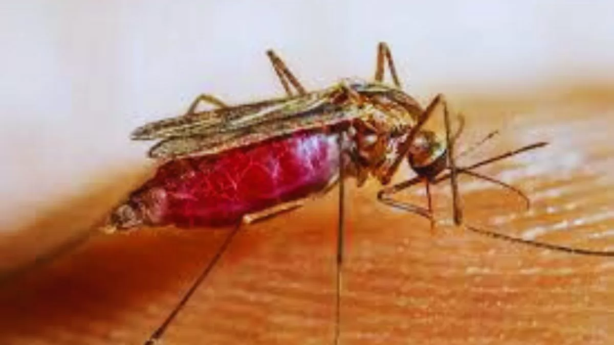 What is the World Malaria Report? What does it indicate about India's malaria management?