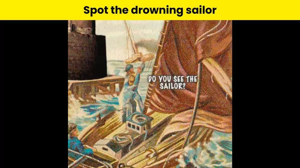 Can you spot the drowning sailor in this brain teaser?                                    