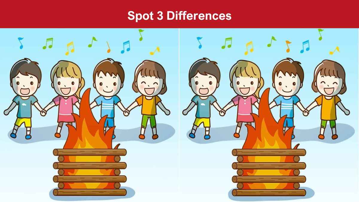 Spot 3 differences between the bonfire pictures in 9 seconds!