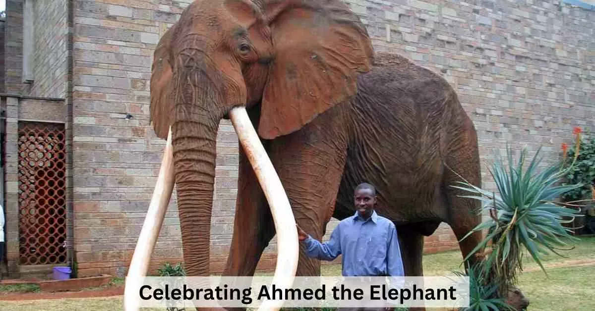 Google Doodle celebrates 'Ahmed' the elephant known for his big tusks