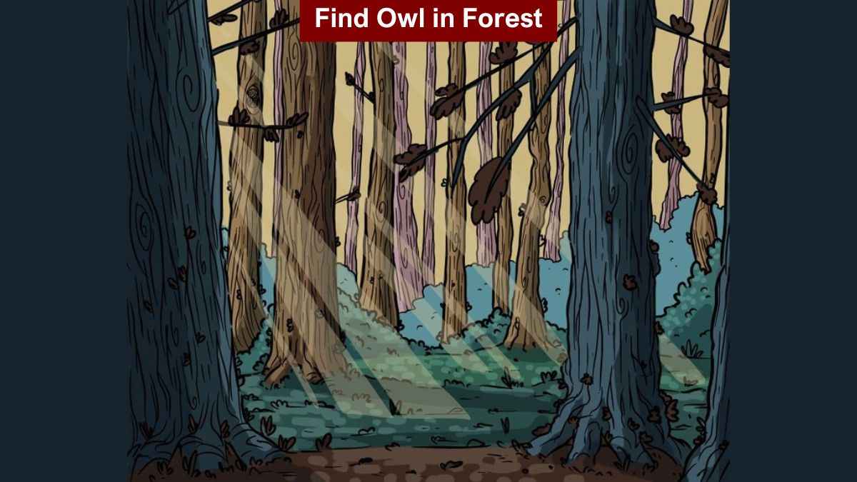Test your visual prowess by finding an owl in the forest in 8 seconds! - Vimarsana News