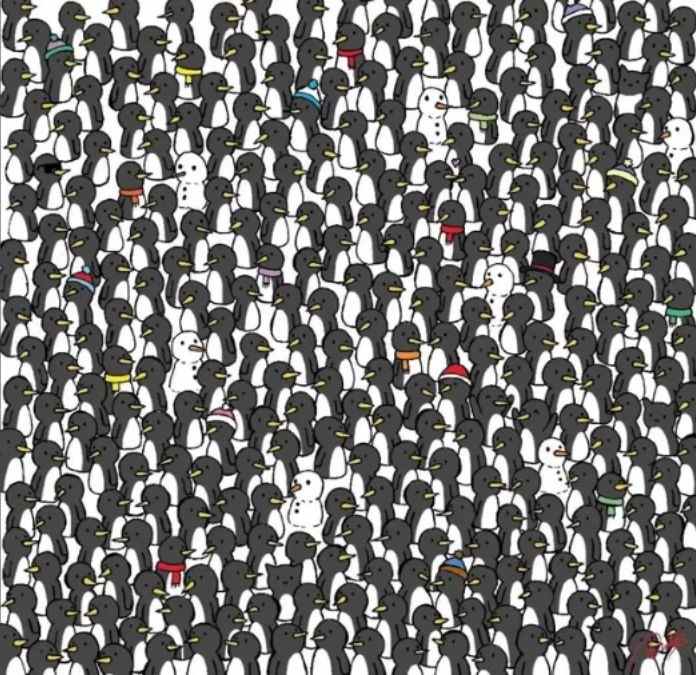 hidden cats optical illusion