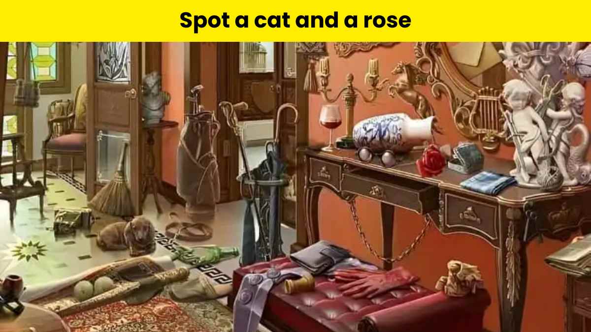 Only someone with detective eyes can spot a rose and cat in the 1980s mansion within 7 seconds. 
