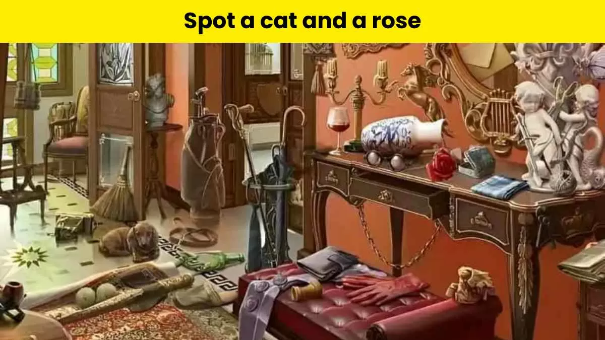 Find the deals cat puzzle