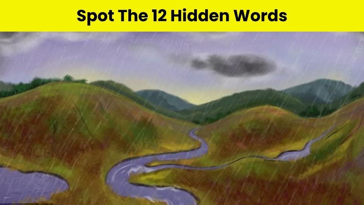 Puzzle To Test Your IQ: Can You Spot the 12 Hidden Words Inside Landscape Picture in 15 secs?