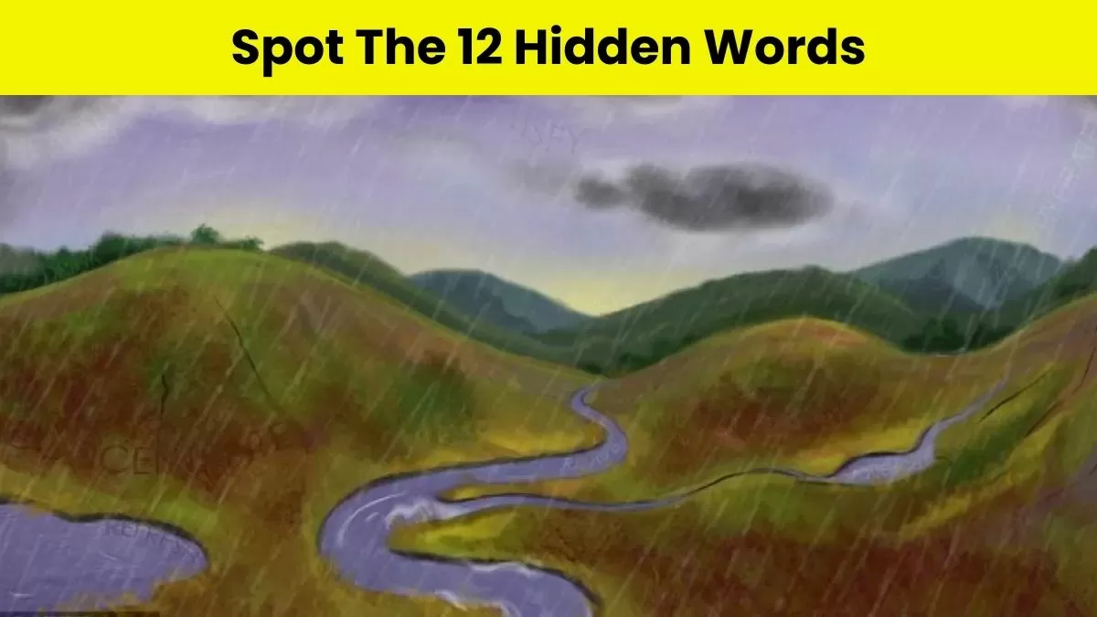 Picture Puzzles: Super Power Brain Test! Spot The Hidden Number Within 11  Seconds