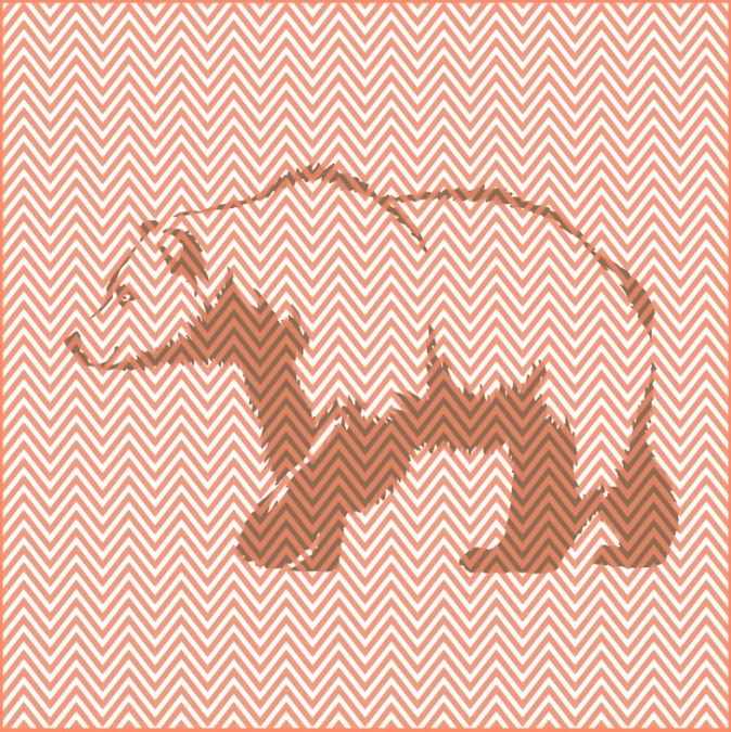 hidden optical illusion with answers