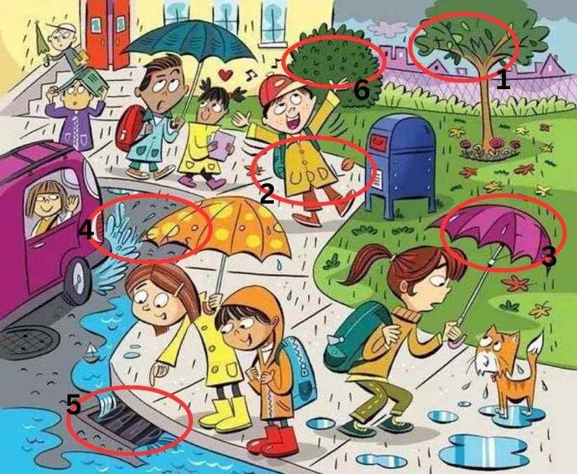 hidden words picture puzzles with answers