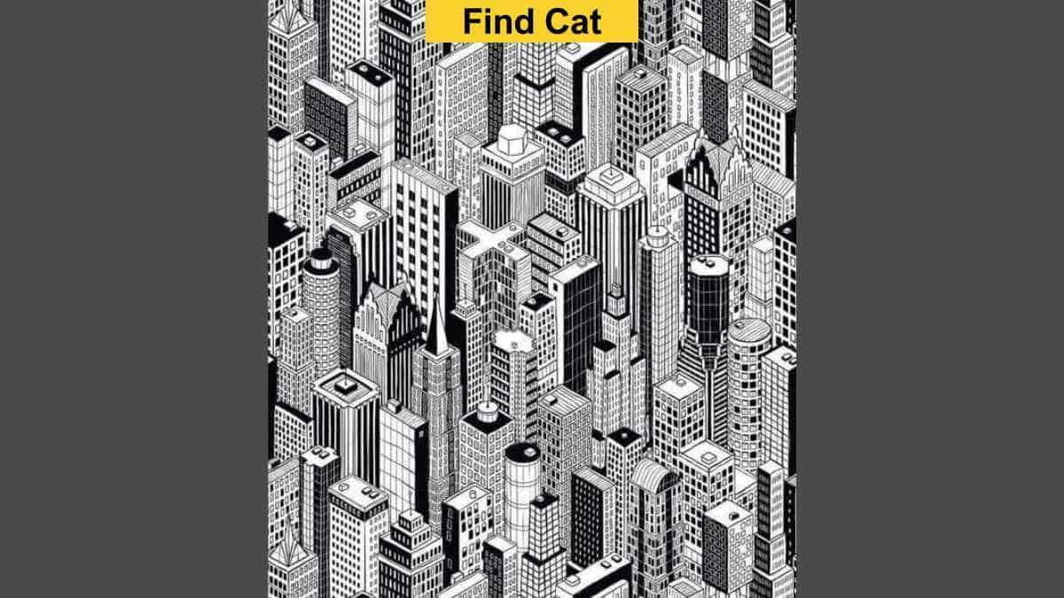 People with sharpest eyes can spot the cat among skyscrapers in 7 seconds! - Vimarsana News