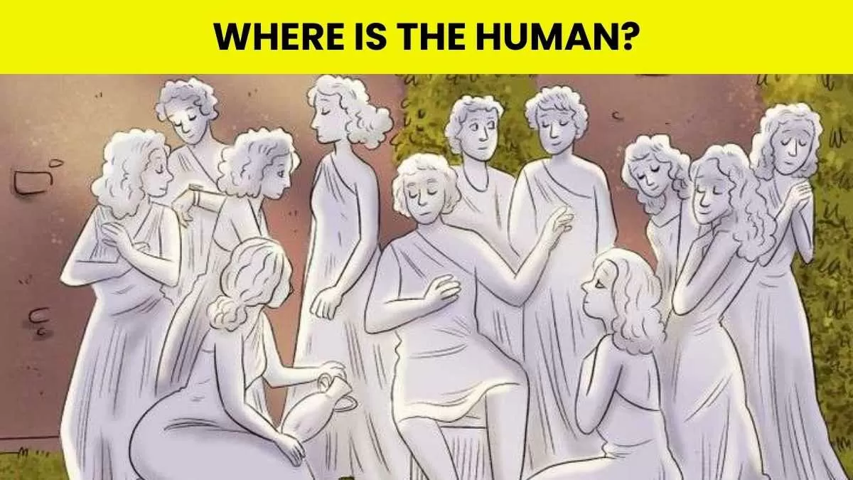 Puzzle To Test Your IQ