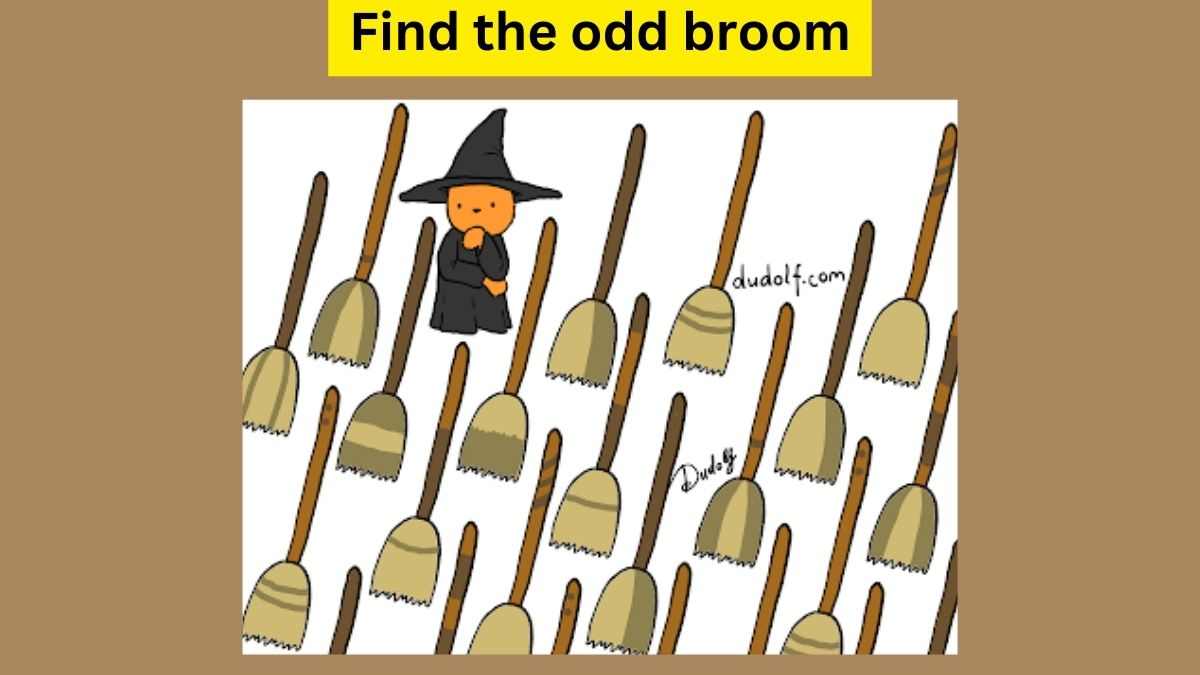  Mental IQ Test: You Need Razor Sharp Eyes To Find The Odd Broom Hidden In The Picture. 3 Seconds Left!
