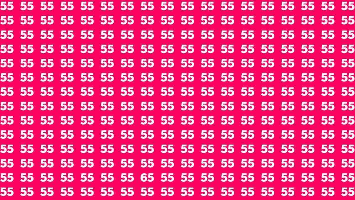Only People With 20/20 Vision Can Spot The Hidden Number 65 In 11 Seconds!