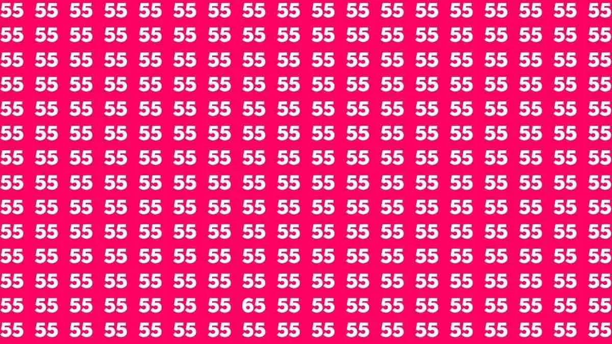 Optical Illusion: Spot The Hidden Number 65 Among 55s.