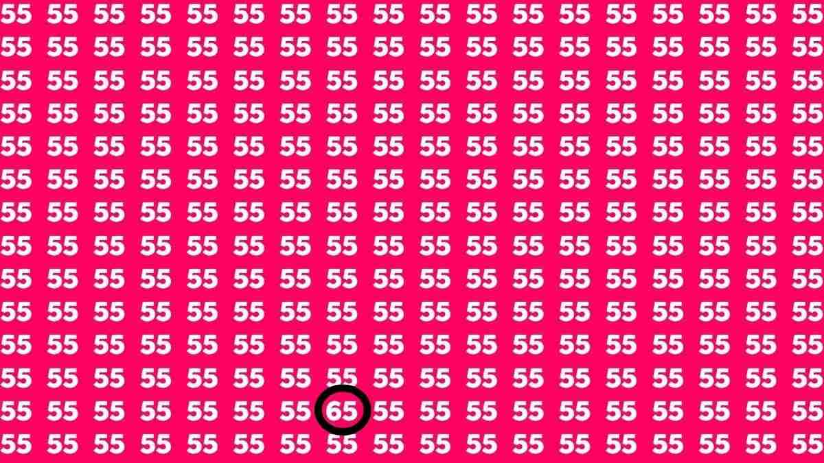 optical illusions with hidden images