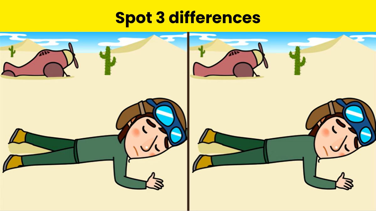 Can you spot 3 differences between the pilot in desert pictures within 11 seconds? 