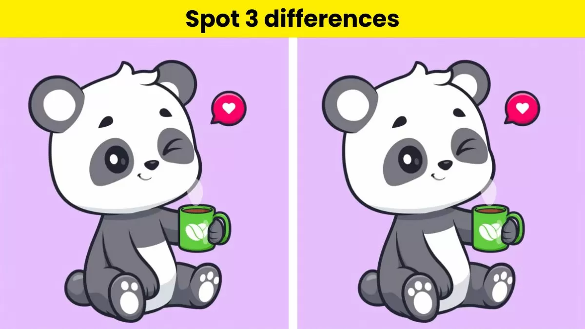 Can you spot 3 differences in the panda pictures?     