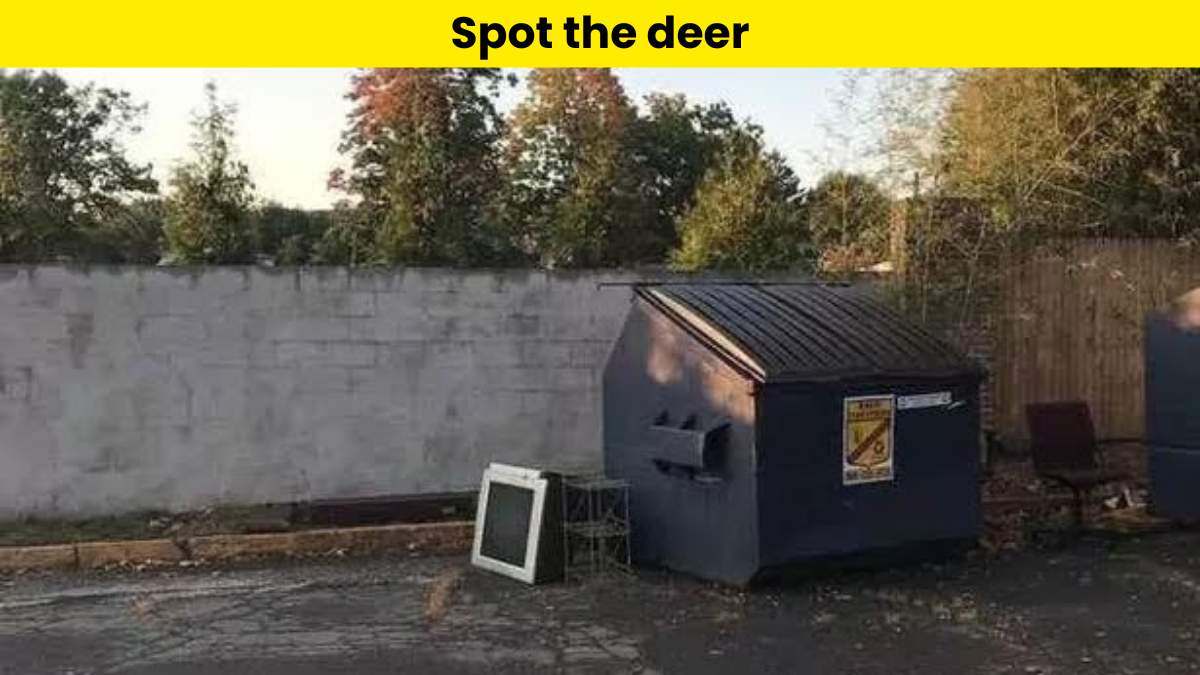 Only someone with a 20/20 vision can spot the deer in the garden within 6 seconds. 