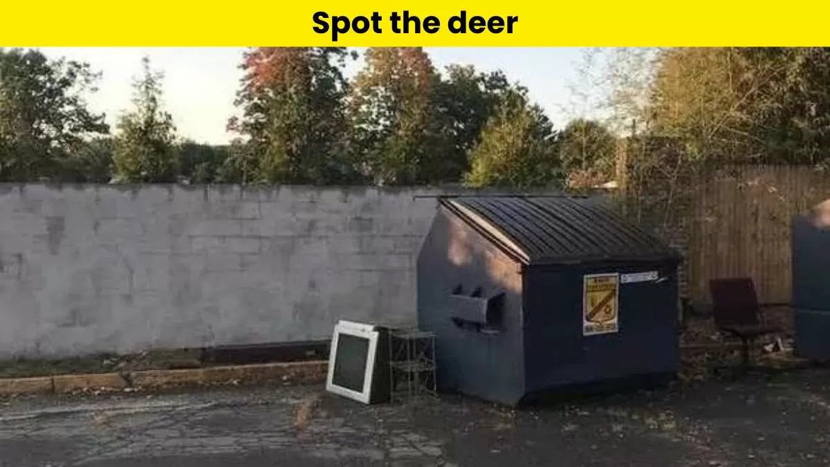 Can you spot the deer in the optical illusion picture?